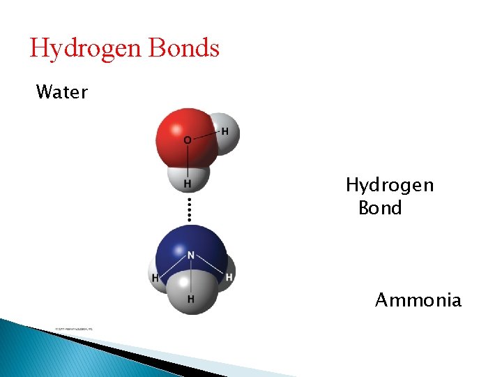 Hydrogen Bonds Water Hydrogen Bond Ammonia 