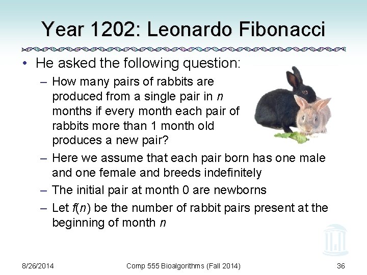 Year 1202: Leonardo Fibonacci • He asked the following question: – How many pairs