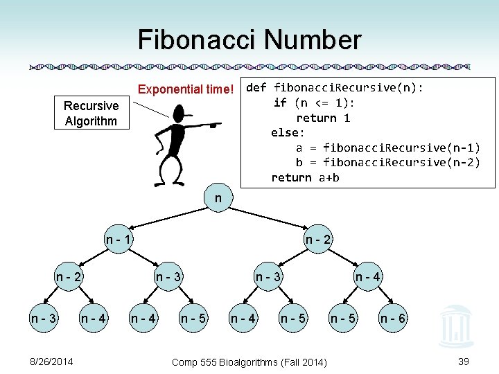Fibonacci Number Recursive Algorithm Exponential time! def fibonacci. Recursive(n): if (n <= 1): return