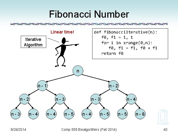 Fibonacci Number def fibonacci. Iterative(n): f 0, f 1 = 1, 1 for i