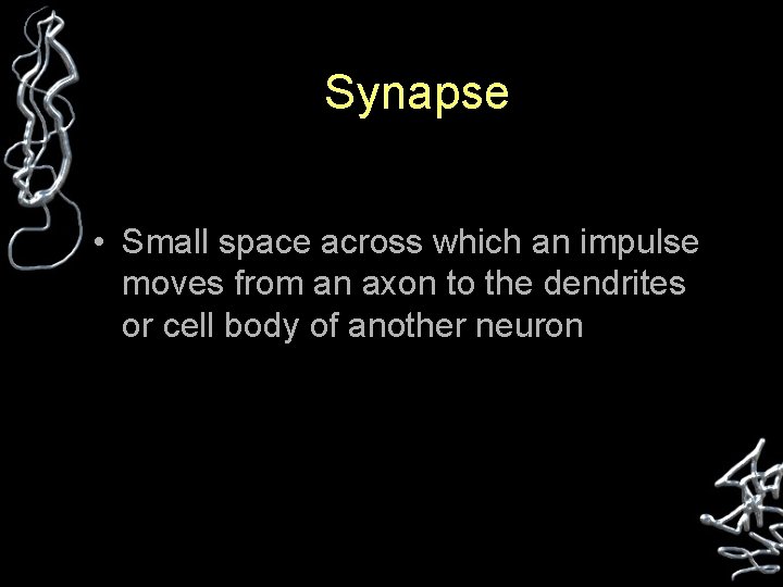 Synapse • Small space across which an impulse moves from an axon to the