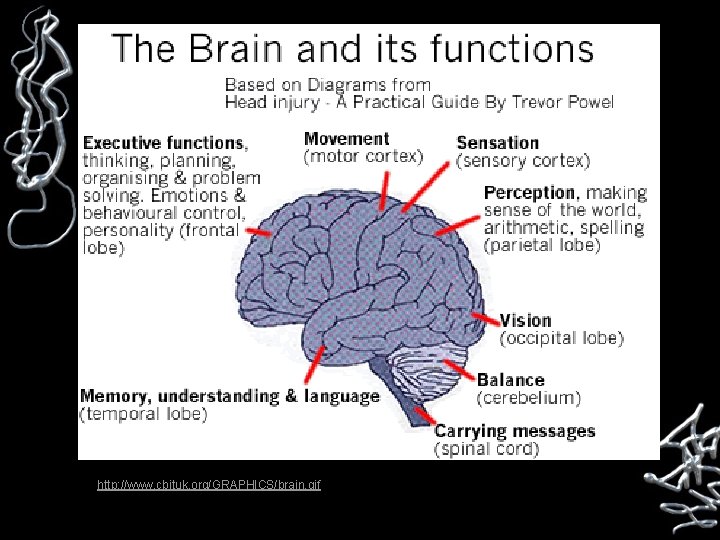 http: //www. cbituk. org/GRAPHICS/brain. gif 