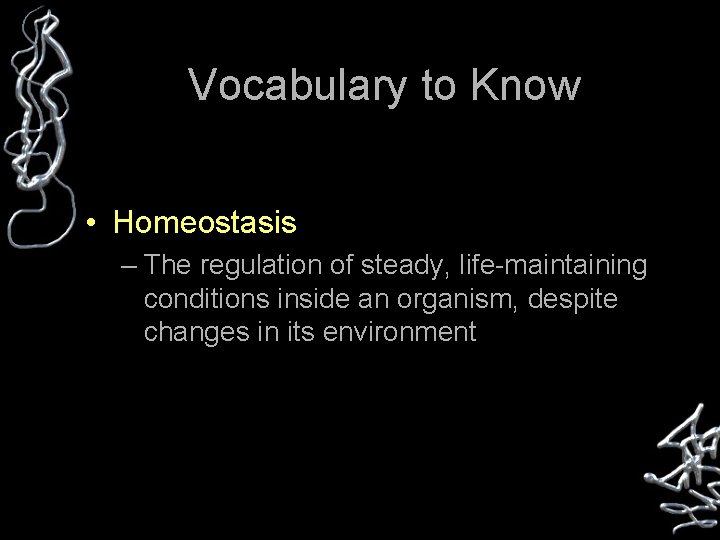 Vocabulary to Know • Homeostasis – The regulation of steady, life-maintaining conditions inside an