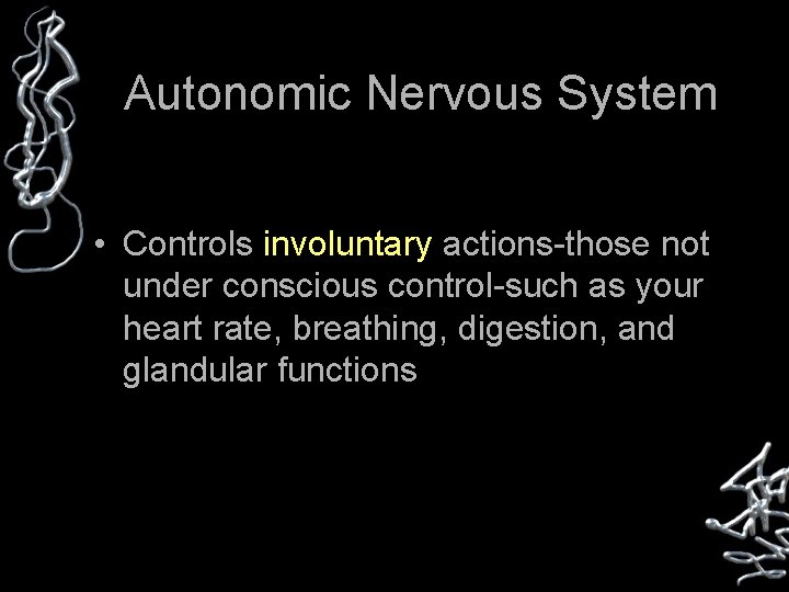 Autonomic Nervous System • Controls involuntary actions-those not under conscious control-such as your heart