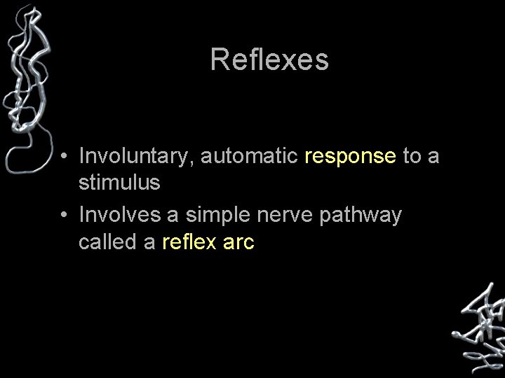 Reflexes • Involuntary, automatic response to a stimulus • Involves a simple nerve pathway