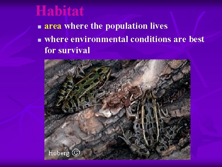 Habitat area where the population lives n where environmental conditions are best for survival