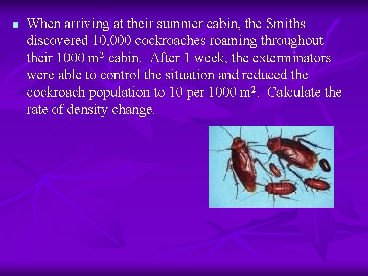 n When arriving at their summer cabin, the Smiths discovered 10, 000 cockroaches roaming