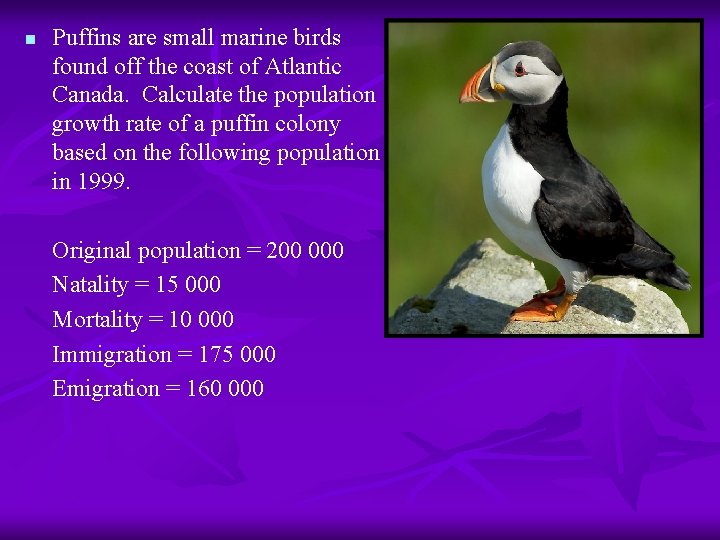n Puffins are small marine birds found off the coast of Atlantic Canada. Calculate