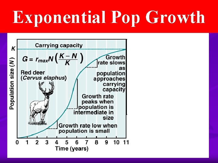 Exponential Pop Growth 