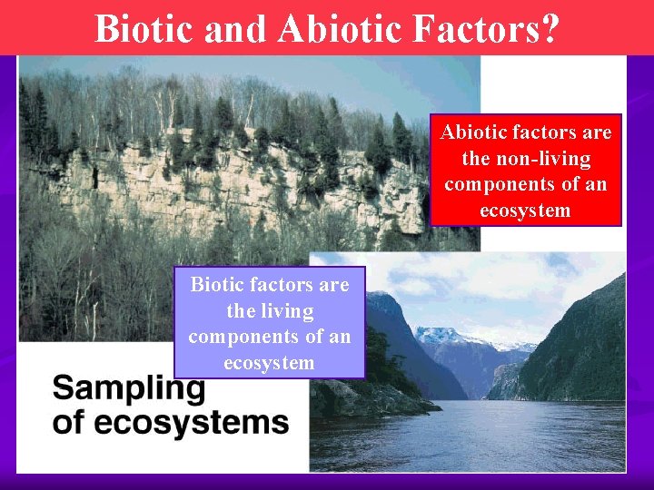 Biotic and Abiotic Factors? Abiotic factors are the non-living components of an ecosystem Biotic