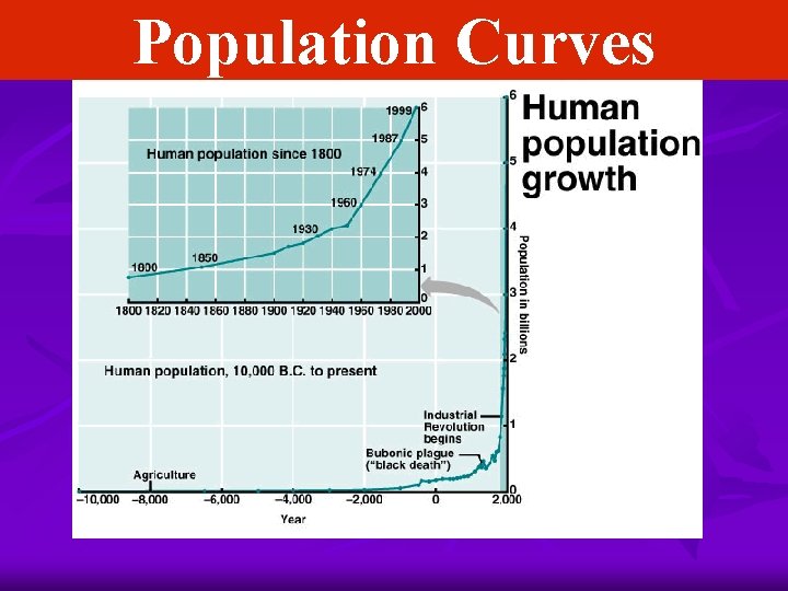Population Curves 