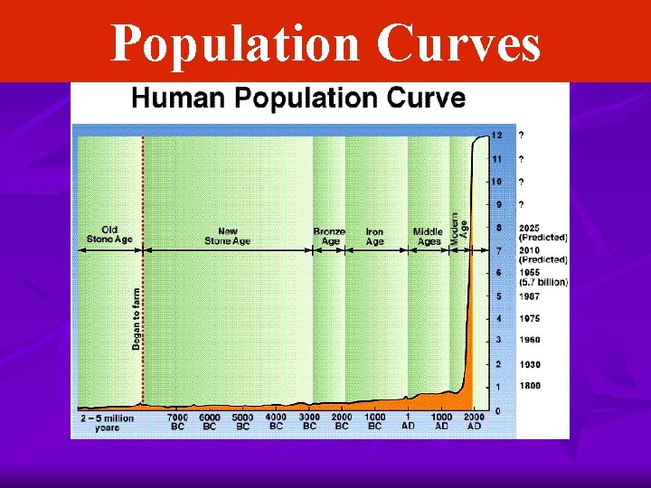 Population Curves 