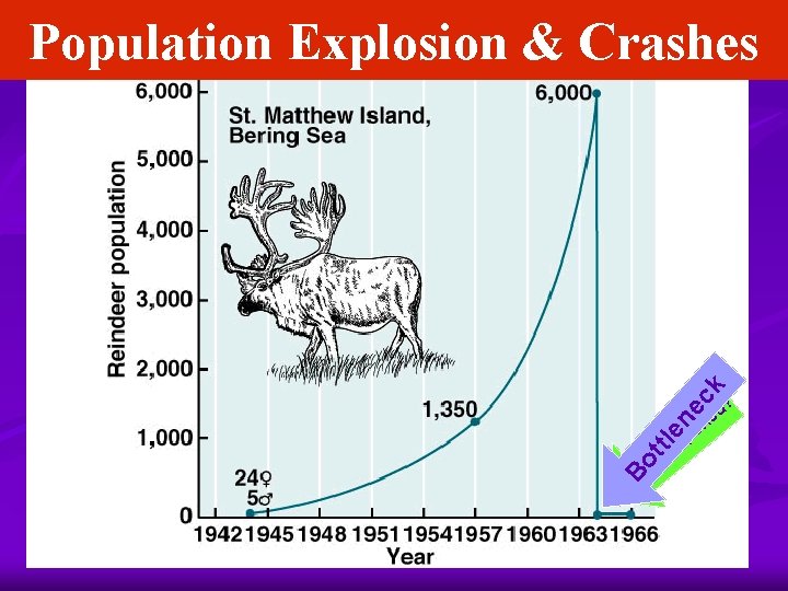 en ec k Population Explosion & Crashes ttl Bo t ha W e p