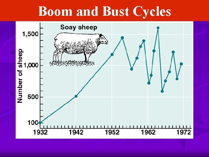 Boom and Bust Cycles 
