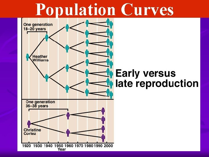 Population Curves 