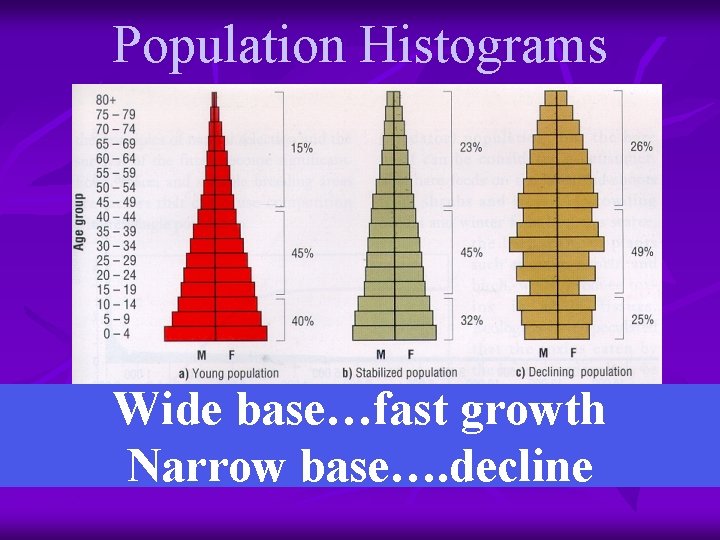 Population Histograms Wide base…fast growth Narrow base…. decline 