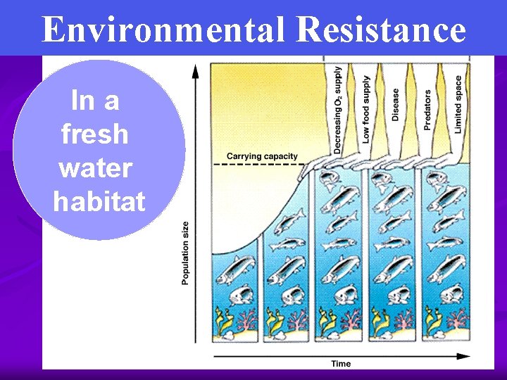 Environmental Resistance In a fresh water habitat 