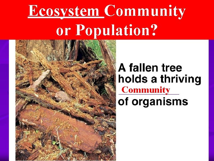 Ecosystem Community or Population? Community _________ 