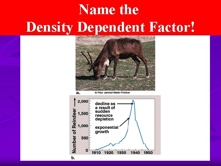 Name the Density Dependent Factor! 