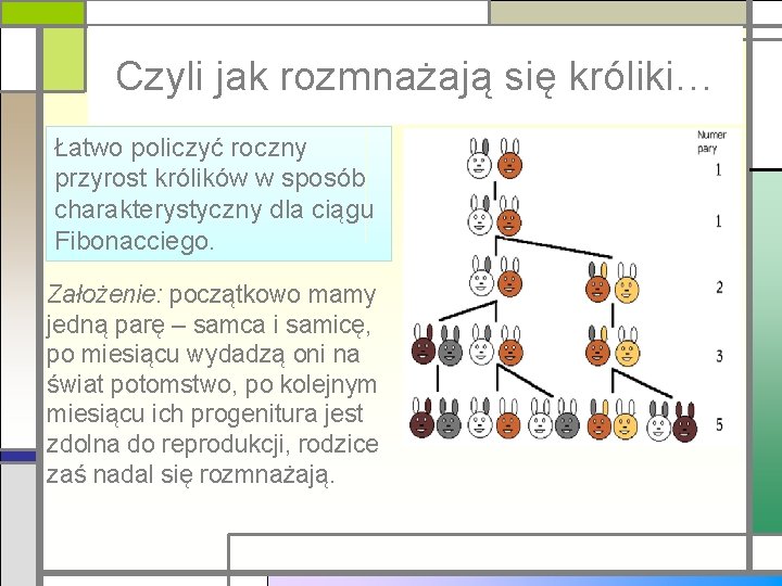 Ciąg Fibonacciego w przyrodzie Czyli jak rozmnażają się króliki… Łatwo policzyć roczny przyrost królików