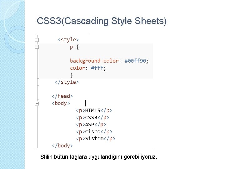 CSS 3(Cascading Style Sheets) Stilin bütün taglara uygulandığını görebiliyoruz. 