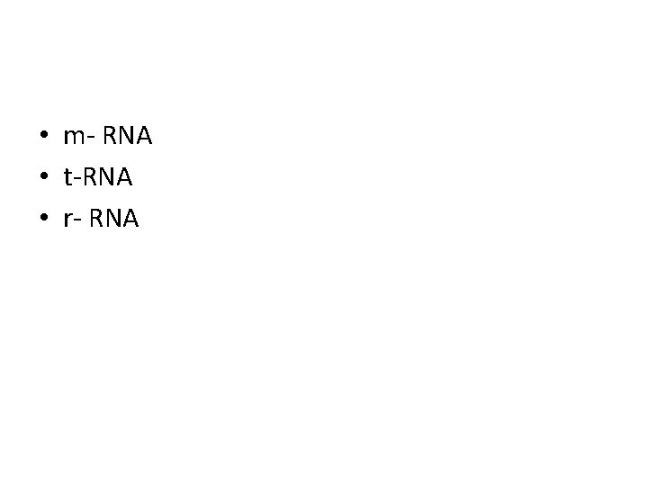  • m- RNA • t-RNA • r- RNA 