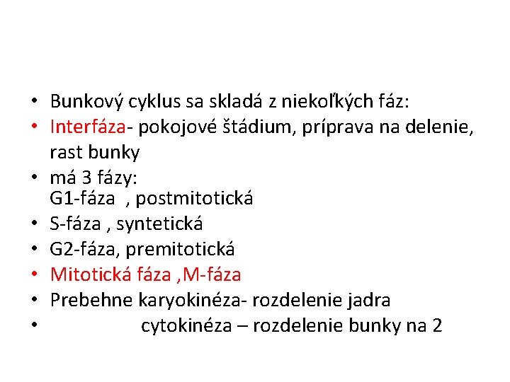  • Bunkový cyklus sa skladá z niekoľkých fáz: • Interfáza- pokojové štádium, príprava