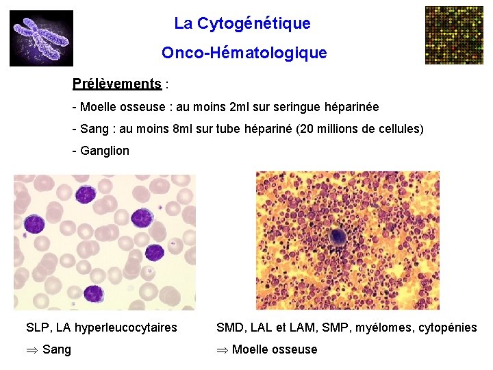 La Cytogénétique Onco-Hématologique Prélèvements : - Moelle osseuse : au moins 2 ml sur