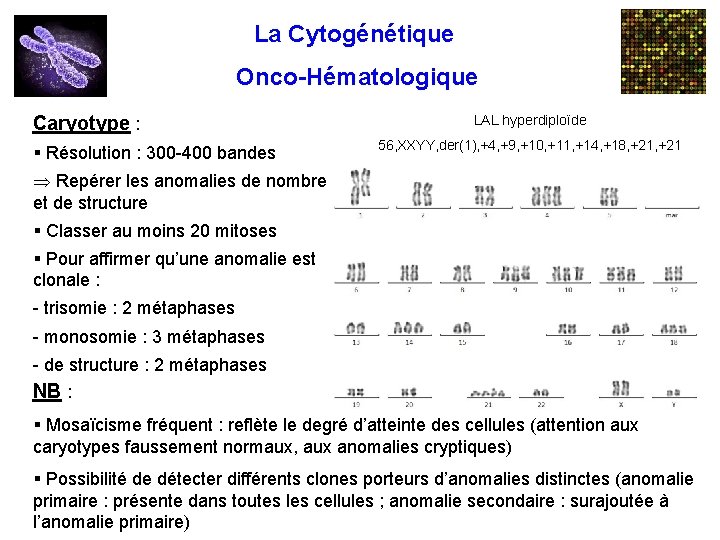 La Cytogénétique Onco-Hématologique Caryotype : § Résolution : 300 -400 bandes LAL hyperdiploïde 56,