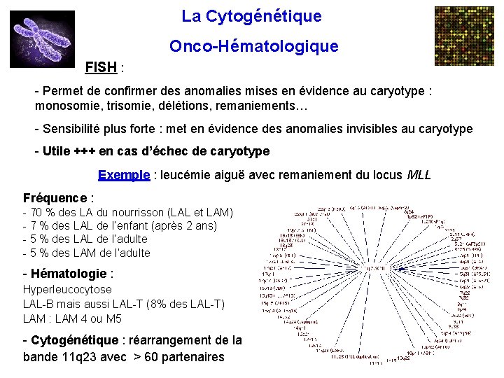 La Cytogénétique Onco-Hématologique FISH : - Permet de confirmer des anomalies mises en évidence