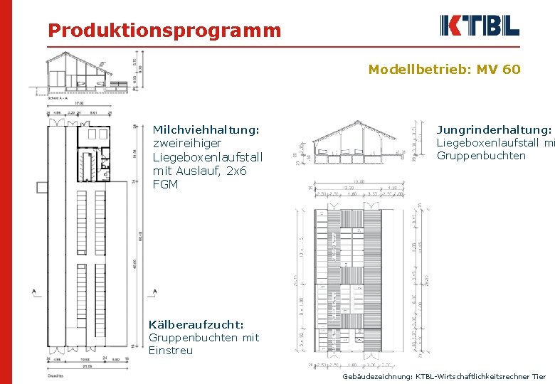 Produktionsprogramm Modellbetrieb: MV 60 Milchviehhaltung: zweireihiger Liegeboxenlaufstall mit Auslauf, 2 x 6 FGM Jungrinderhaltung: