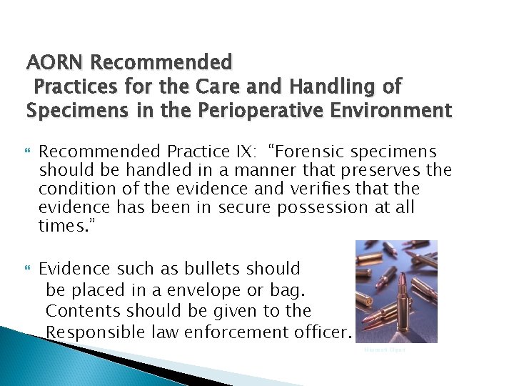 AORN Recommended Practices for the Care and Handling of Specimens in the Perioperative Environment