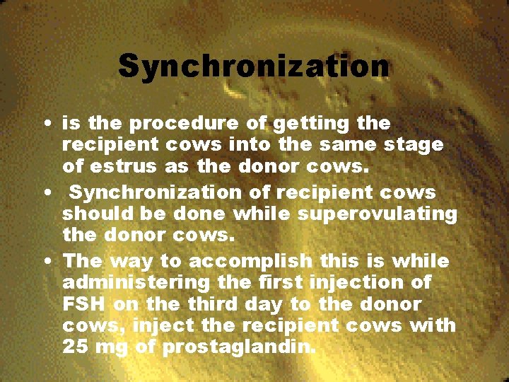 Synchronization • is the procedure of getting the recipient cows into the same stage