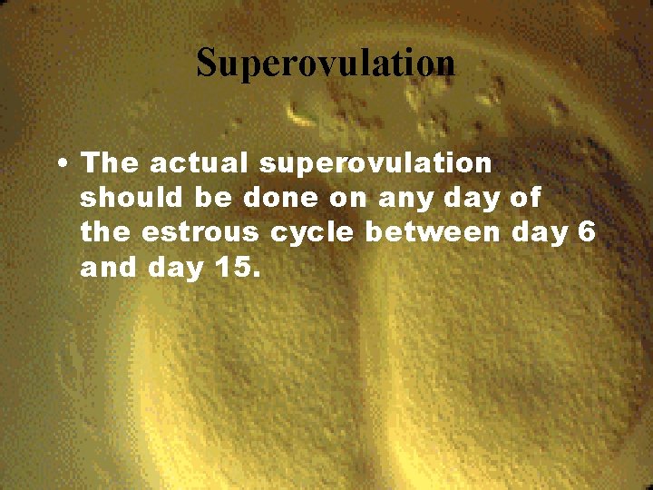 Superovulation • The actual superovulation should be done on any day of the estrous