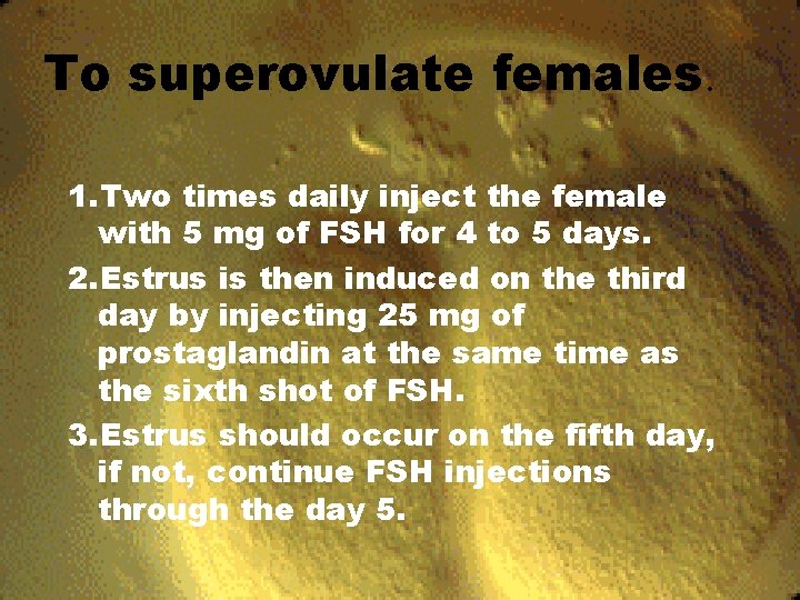 To superovulate females. 1. Two times daily inject the female with 5 mg of