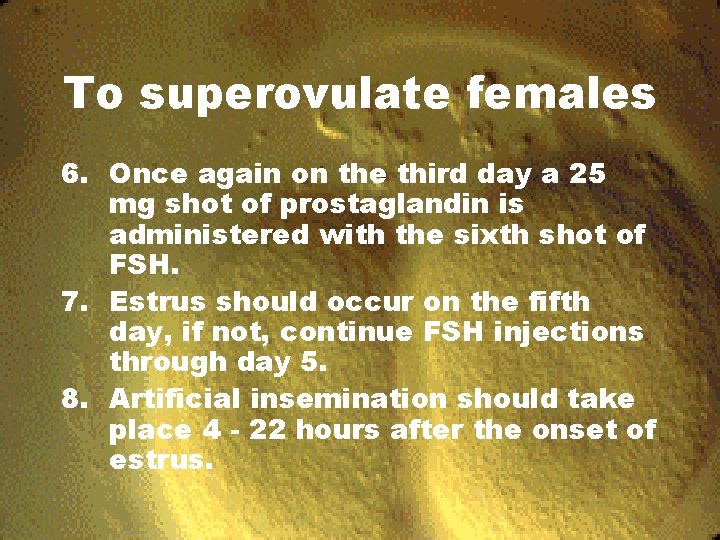 To superovulate females 6. Once again on the third day a 25 mg shot