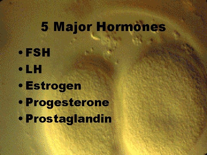 5 Major Hormones • FSH • LH • Estrogen • Progesterone • Prostaglandin 