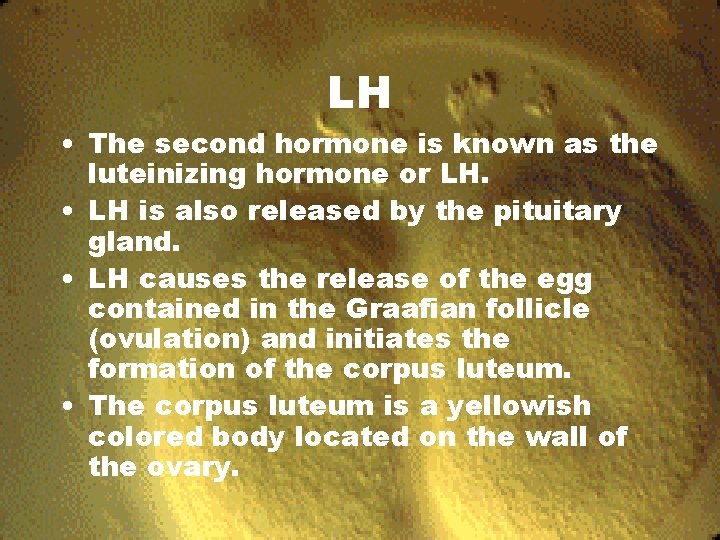 LH • The second hormone is known as the luteinizing hormone or LH. •