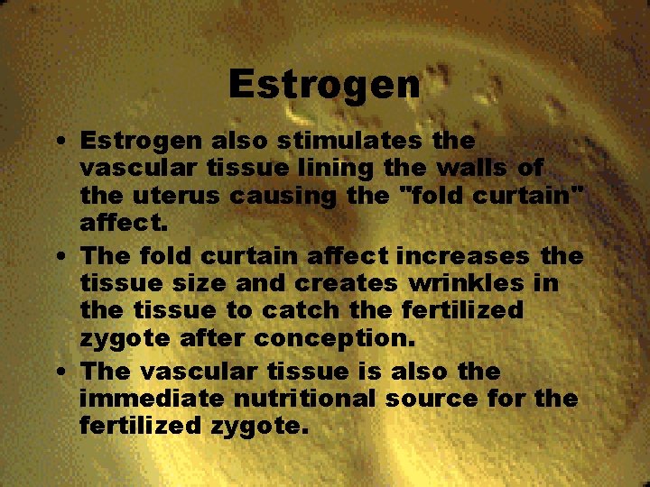 Estrogen • Estrogen also stimulates the vascular tissue lining the walls of the uterus