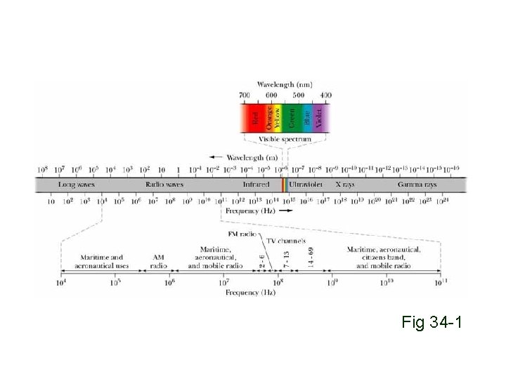 Fig 34 -1 