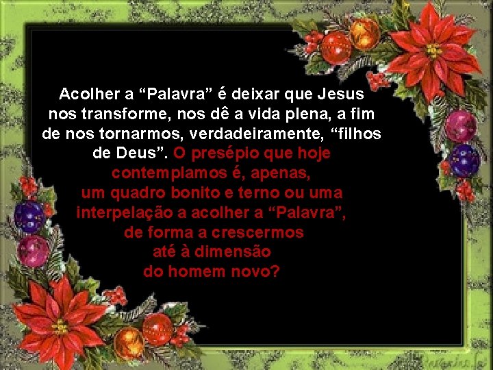Acolher a “Palavra” é deixar que Jesus nos transforme, nos dê a vida plena,