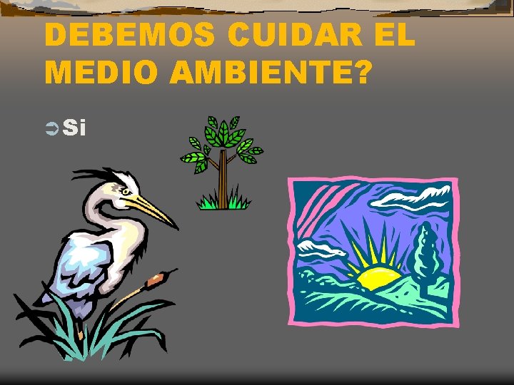 DEBEMOS CUIDAR EL MEDIO AMBIENTE? Ü Si 