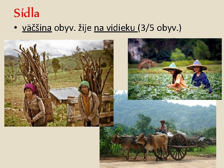 Sídla • väčšina obyv. žije na vidieku (3/5 obyv. ) 