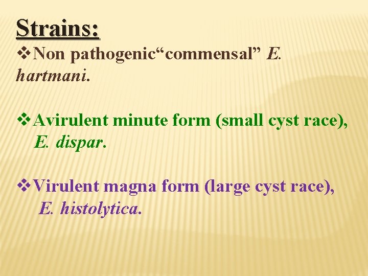 Strains: v. Non pathogenic“commensal” E. hartmani. v. Avirulent minute form (small cyst race), E.