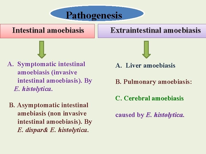 Pathogenesis Intestinal amoebiasis A. Symptomatic intestinal amoebiasis (invasive intestinal amoebiasis). By E. histolytica. B.