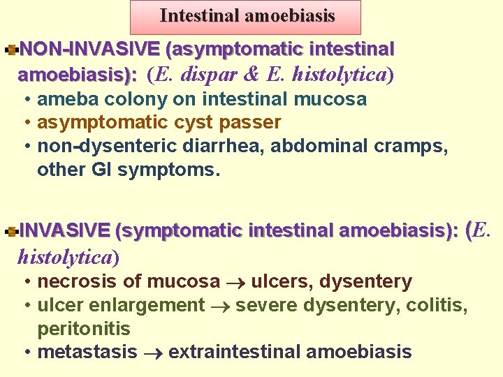 Intestinal amoebiasis NON-INVASIVE (asymptomatic intestinal amoebiasis): (E. dispar & E. histolytica) • ameba colony