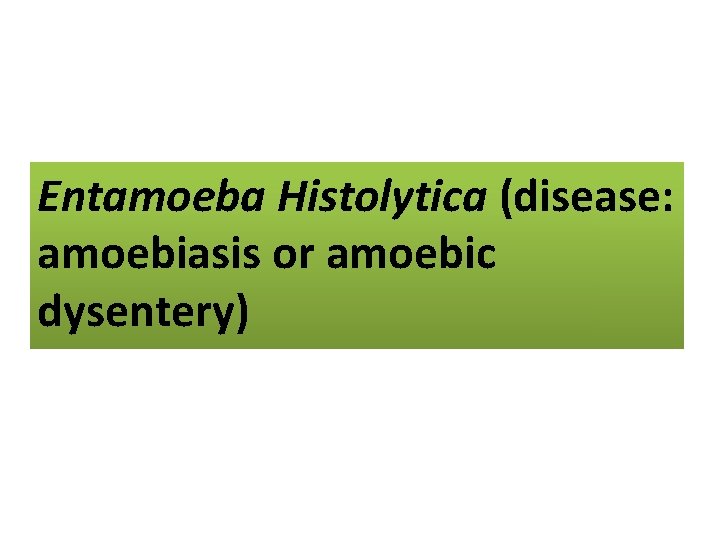 Entamoeba Histolytica (disease: amoebiasis or amoebic dysentery) 