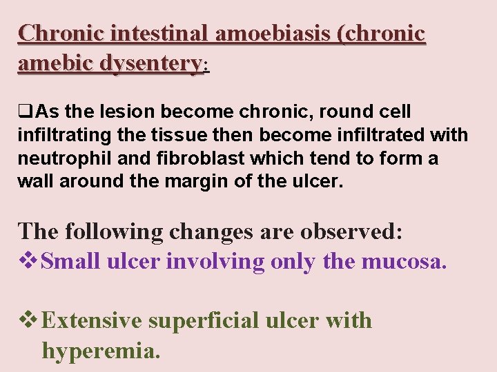 Chronic intestinal amoebiasis (chronic amebic dysentery: q. As the lesion become chronic, round cell