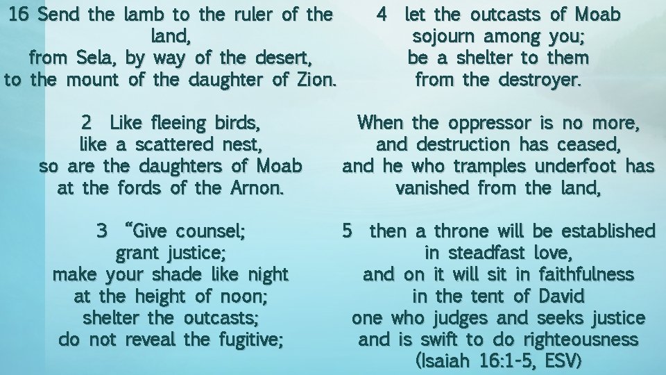 16 Send the lamb to the ruler of the land, from Sela, by way