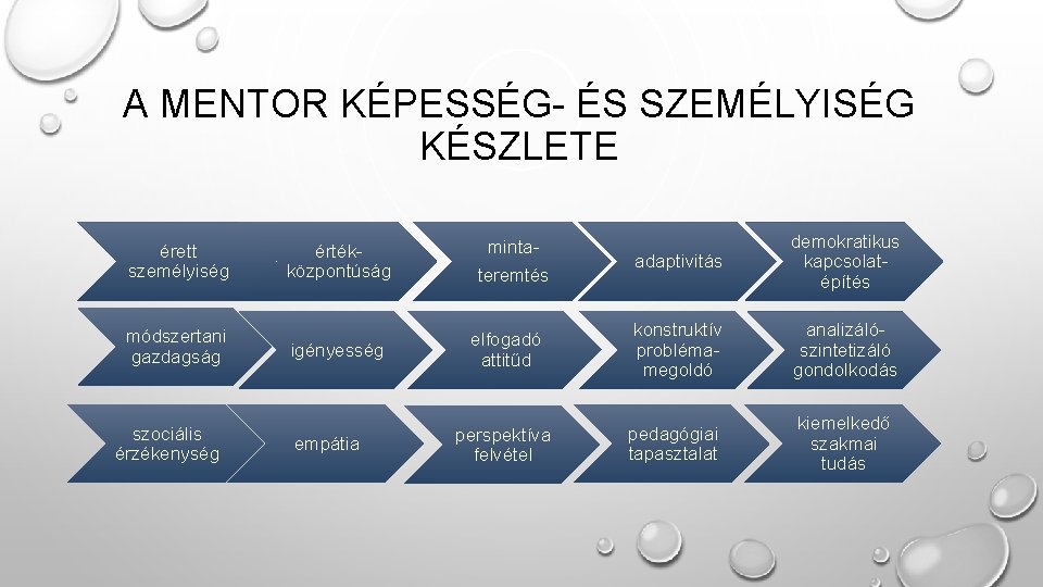 A MENTOR KÉPESSÉG- ÉS SZEMÉLYISÉG KÉSZLETE érett személyiség módszertani gazdagság szociális érzékenység értékközpontúság igényesség